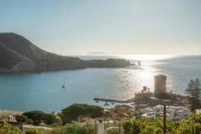 Giglio Verde 5